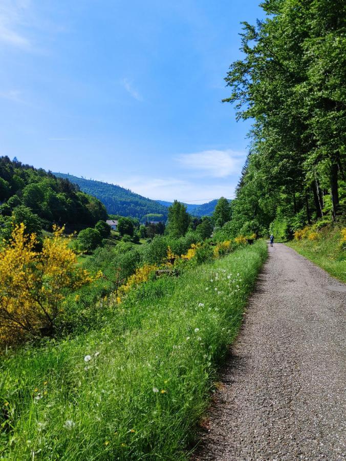 Fewo Albtaleck - Wohnen Im Kurort Waldbronn Ngoại thất bức ảnh