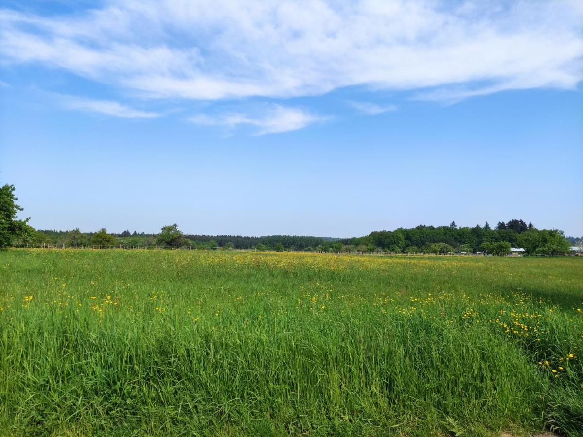 Fewo Albtaleck - Wohnen Im Kurort Waldbronn Ngoại thất bức ảnh